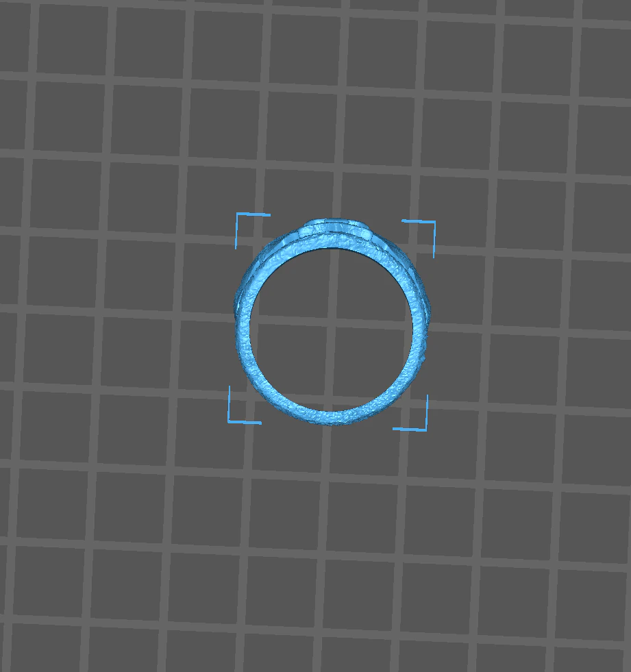 Wing ring 3D Print Model .c4d .max .obj .3ds .fbx .stl .blend 
