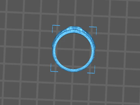 Крыльевое кольцо 3D Принт Модель