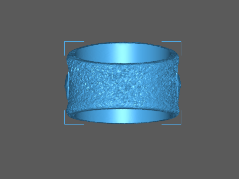 Wing ring Modello di stampa 3D