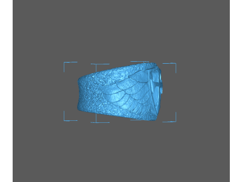 Wing ring Modello di stampa 3D