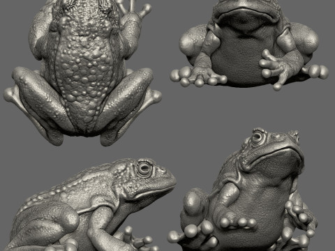 Forg 3D Print Model