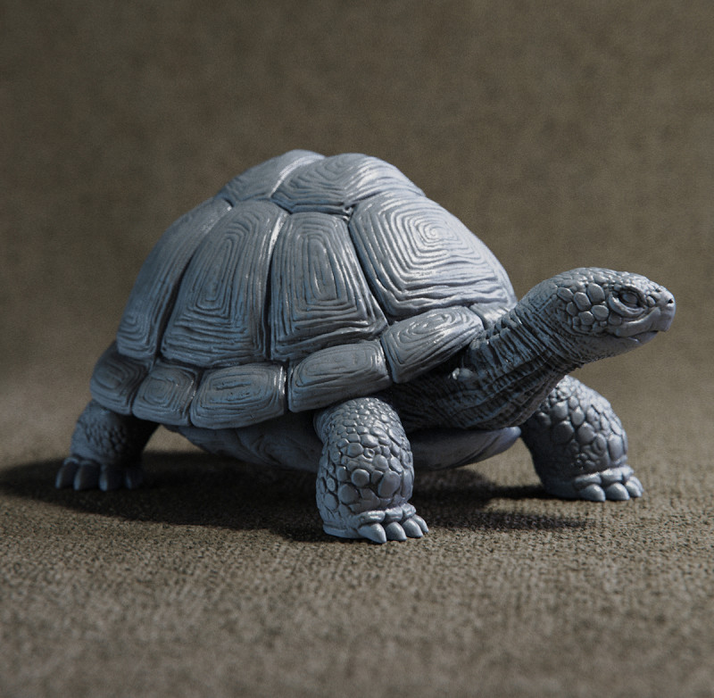 Turtle 3D Print Model .c4d .max .obj .3ds .fbx .stl .blend 
