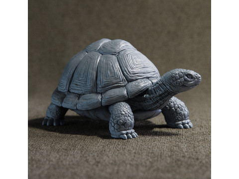 Turtle 3D Print Model