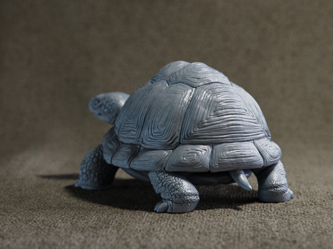 Turtle 3D Print Model
