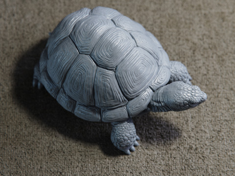 Turtle 3D Print Model