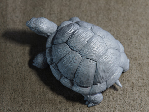 Turtle 3D Print Model