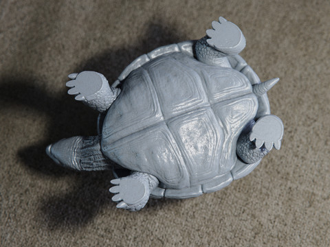 Turtle 3D Print Model