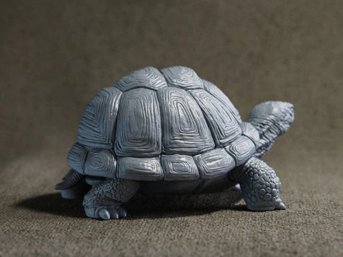 Turtle 3D Print Model