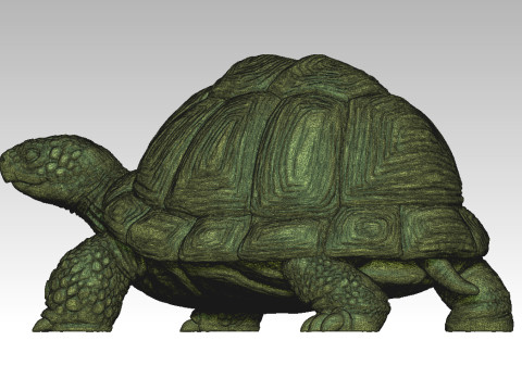 Turtle 3D Print Model
