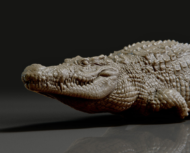 Crocodile 3D 打印模型 .c4d .max .obj .3ds .fbx .stl .blend 