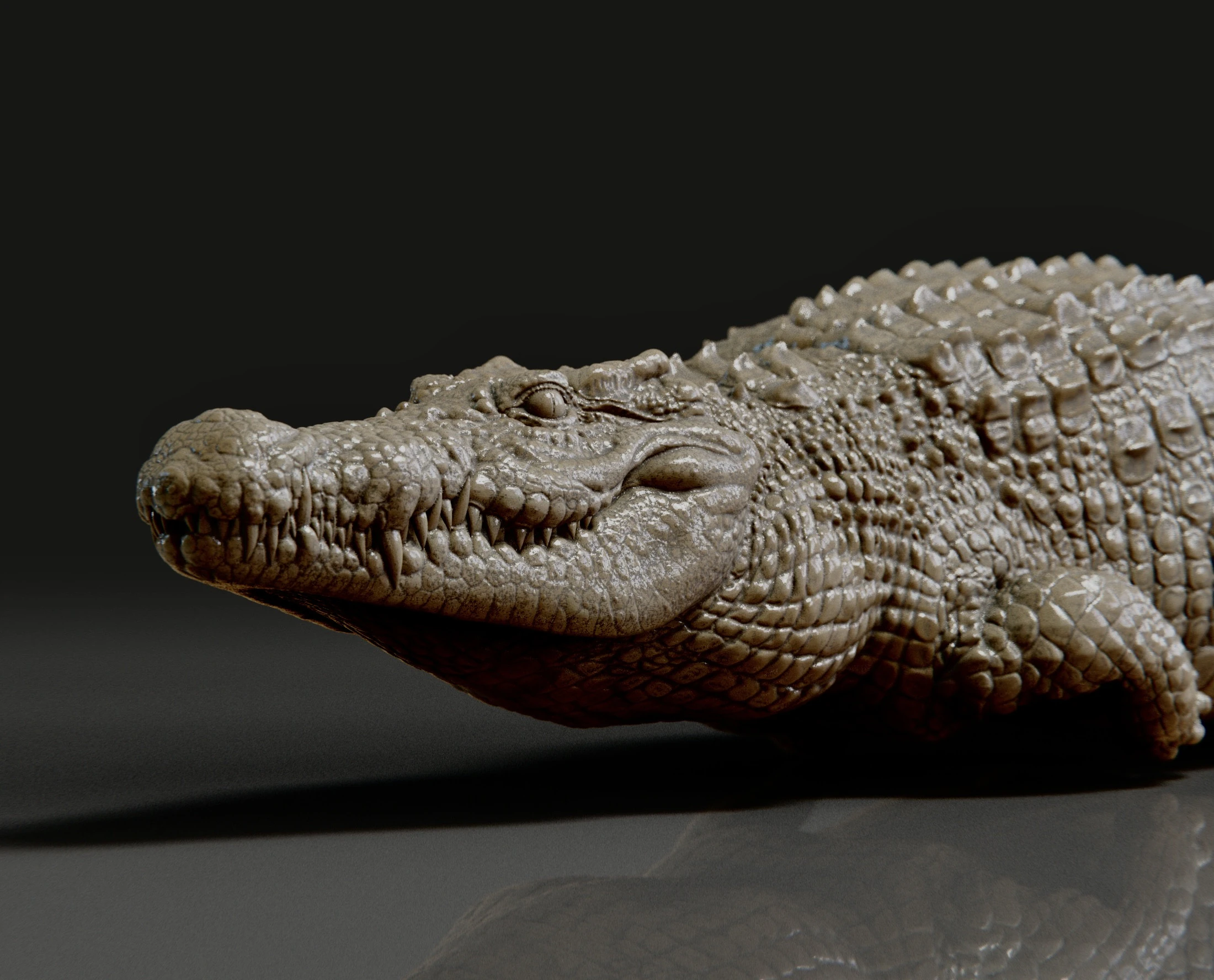 Crocodile 3D Print Model .c4d .max .obj .3ds .fbx .stl .blend 