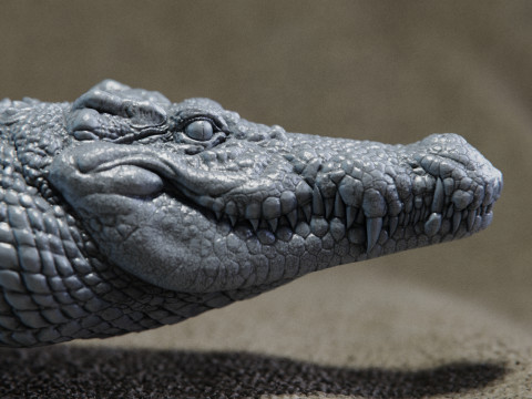 Crocodile 3D 打印模型