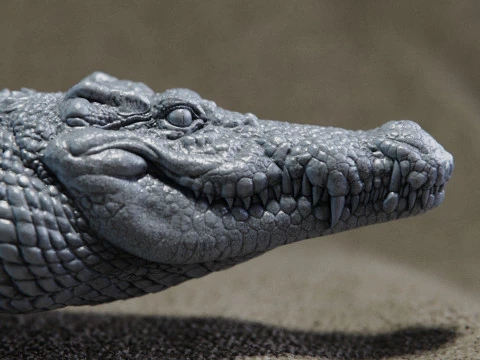 Crocodile 3D Print Model