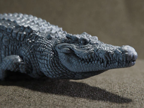 Crocodile 3D Print Model
