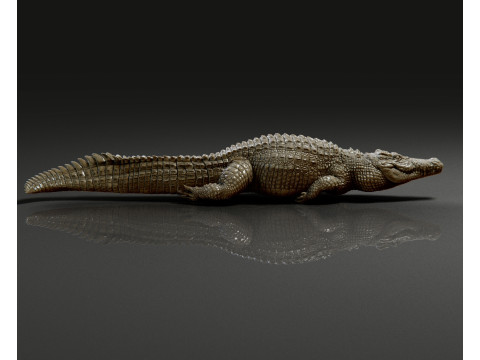 Crocodile 3D 打印模型