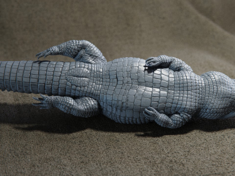 Crocodile 3D 打印模型