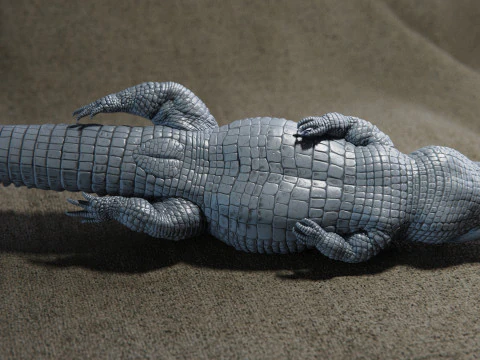 Crocodile 3D Print Model