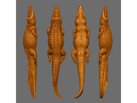 Crocodile 3D 打印模型