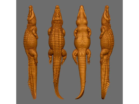 Crocodile 3D Print Model