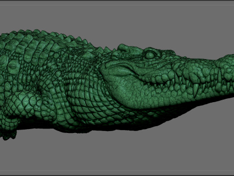 Crocodile 3D 打印模型