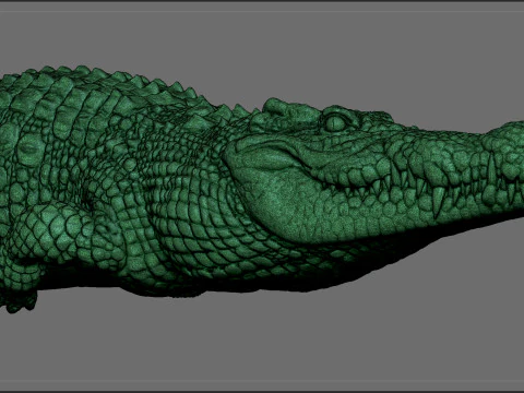 Crocodile 3D Print Model