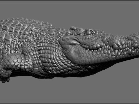 Crocodile 3D 打印模型