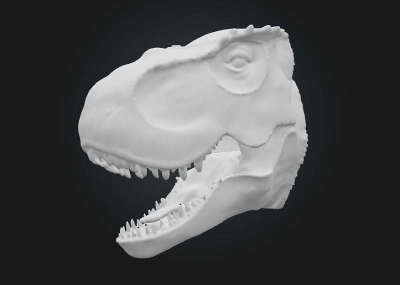 Tyrannosaurus Rex 3D Print Model .c4d .max .obj .3ds .fbx .stl .blend 