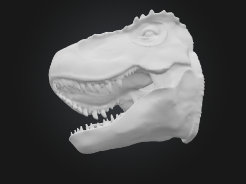 Tyrannosaurus Rex 3D Print Model