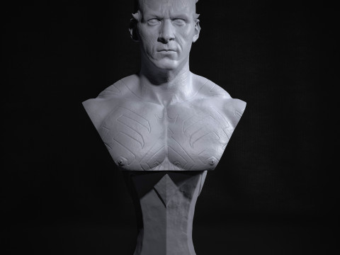 Darth Maul Bust Original Look Model Cetak 3D
