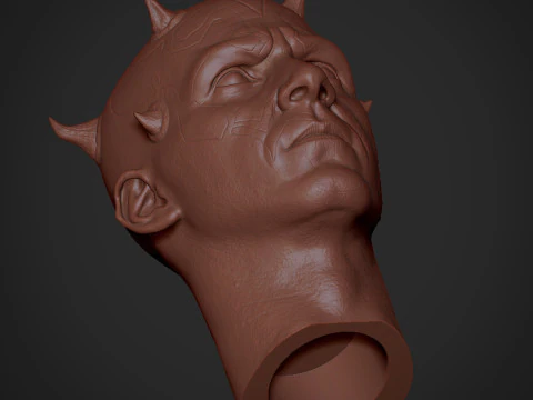 Darth Maul Head Likeness 3D Print Model
