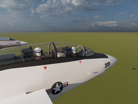 F14 TOMCAT 3D मॉडल