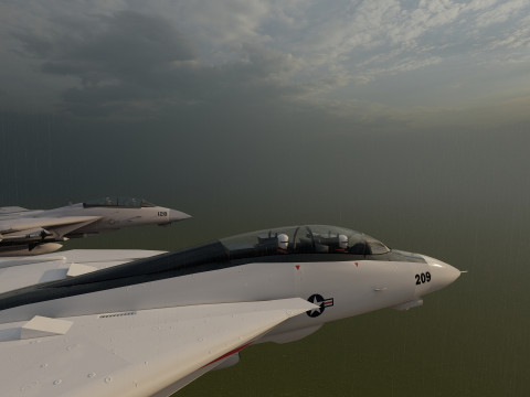 F14 TOMCAT 3D मॉडल