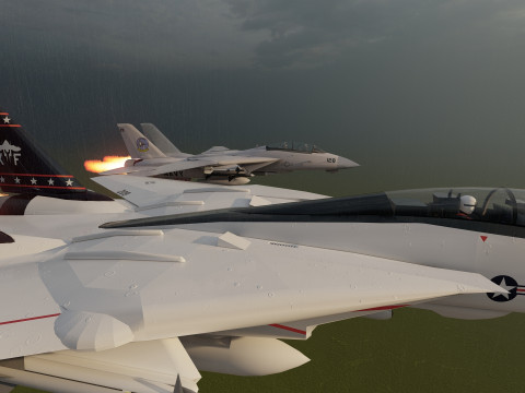 F14 TOMCAT 3D मॉडल