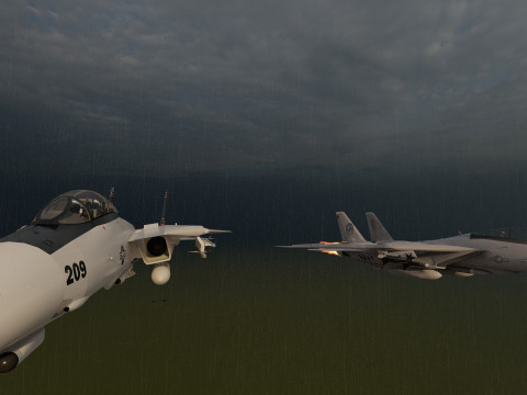 F14 TOMCAT 3D मॉडल