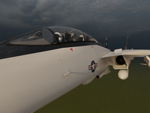 F14 TOMCAT 3D मॉडल