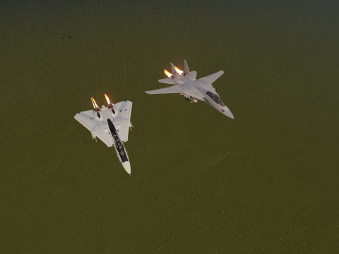F14 TOMCAT 3D मॉडल