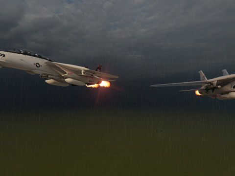 F14 TOMCAT 3D मॉडल