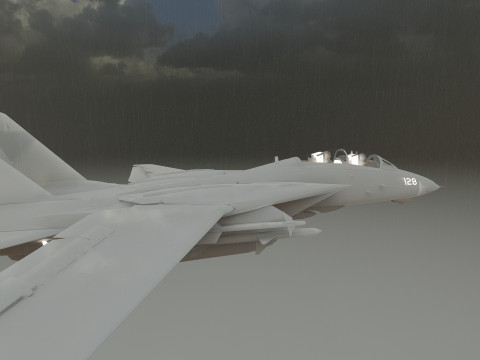 F14 TOMCAT 3D मॉडल