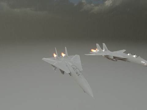 F14 TOMCAT 3D मॉडल
