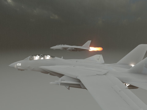 F14 TOMCAT 3D मॉडल