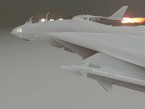F14 TOMCAT 3D मॉडल
