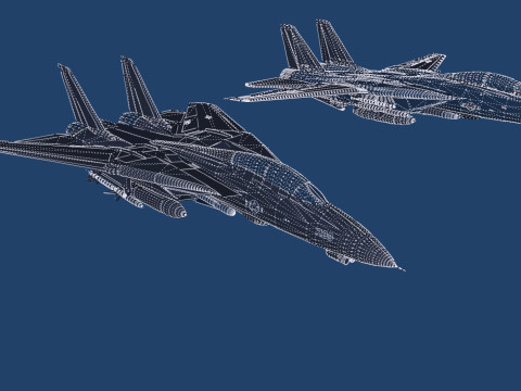 F14 TOMCAT 3D मॉडल