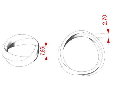 Mobius Wedding Rings 3D Print Model
