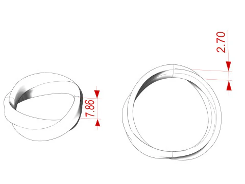 Mobius Wedding Rings 3D Print Model