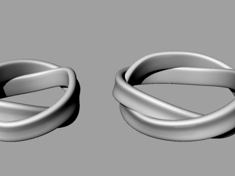 Mobius Wedding Rings 3D Print Model