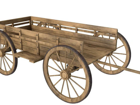 Large Western Collection 3D Model