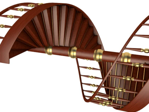Stairsss 3D Model