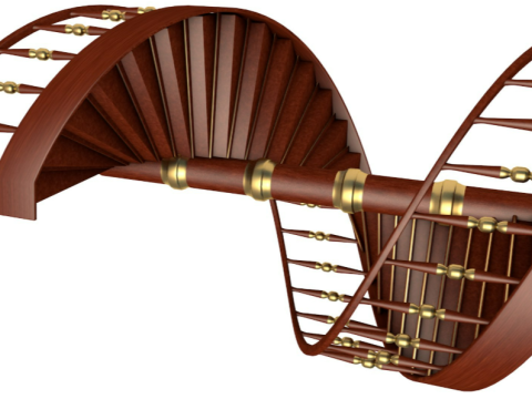 Spiral Stair 3D Model