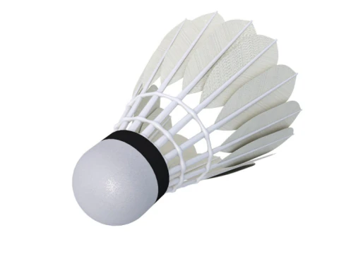 Badminton Collection 1 3D Model