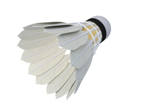Badminton Collection 1 3D Model